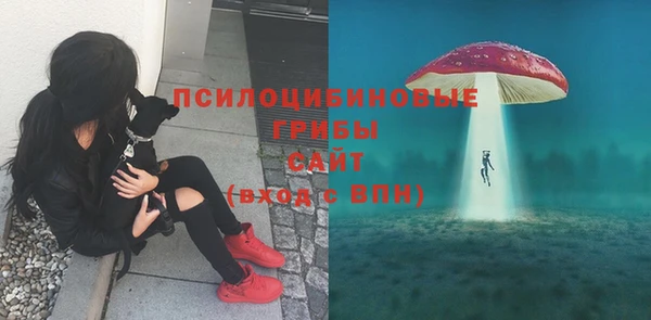 мдпв Беломорск