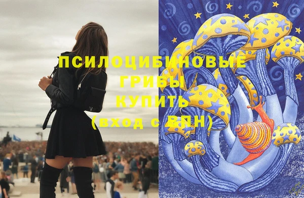 кокс Белокуриха
