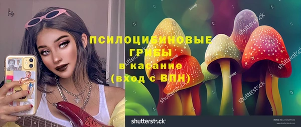 PSILOCYBIN Богородицк