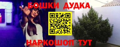 ГАЛЛЮЦИНОГЕННЫЕ ГРИБЫ Можга