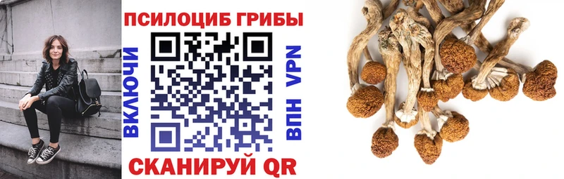 Псилоцибиновые грибы MAGIC MUSHROOMS  Буйнакск 